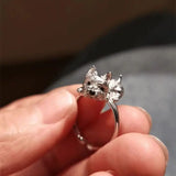 Kinga - Tobby adjustable dog ring